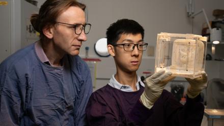 Professor Ian Cockburn and Dr Xin Gao examine a box of mosquitos that the scientists are studying as part of their research efforts to find longer-lasting treatments for malaria. 